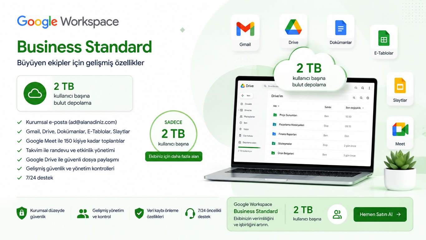 2 TB Google Workspace